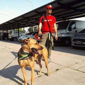 Curso de Instructor canino profesional 2025